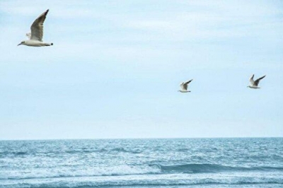 دریای خزر، امروز و فردا آرام است