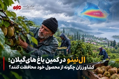 اِل نینو در کمین باغات گیلان؛ کشاورزان چگونه از محصول خود محافطت کنند؟